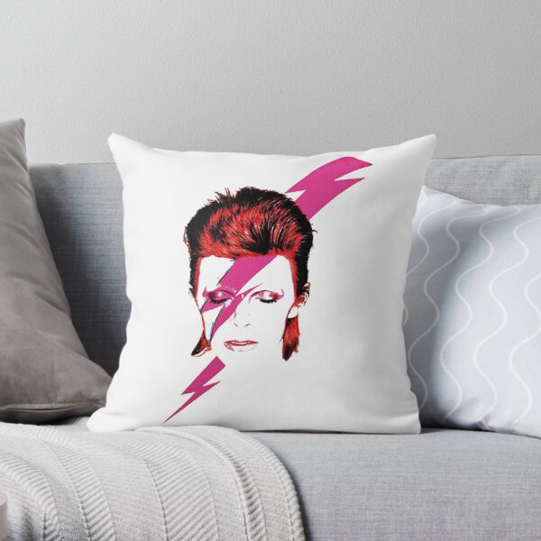 BOWIE FILLED BIG THROW PILLOW  Hand woven pillows, Big throw