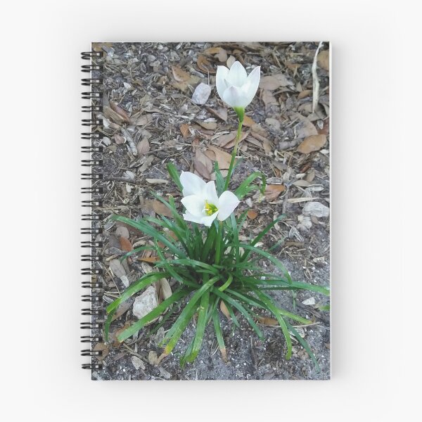 Item preview, Pretty Posies designed and sold by PlaidRat.