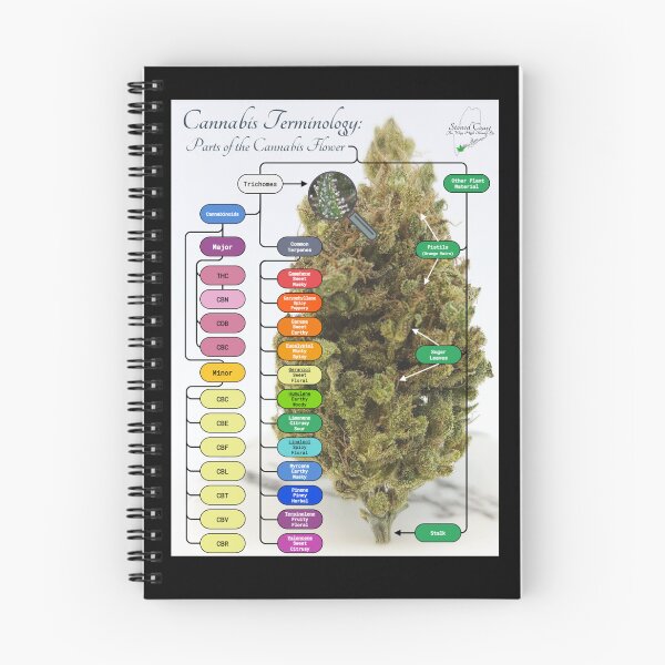 Item preview, Cannabis Terminology: Parts of the Cannabis Flower Infographic designed and sold by StonedCoast.