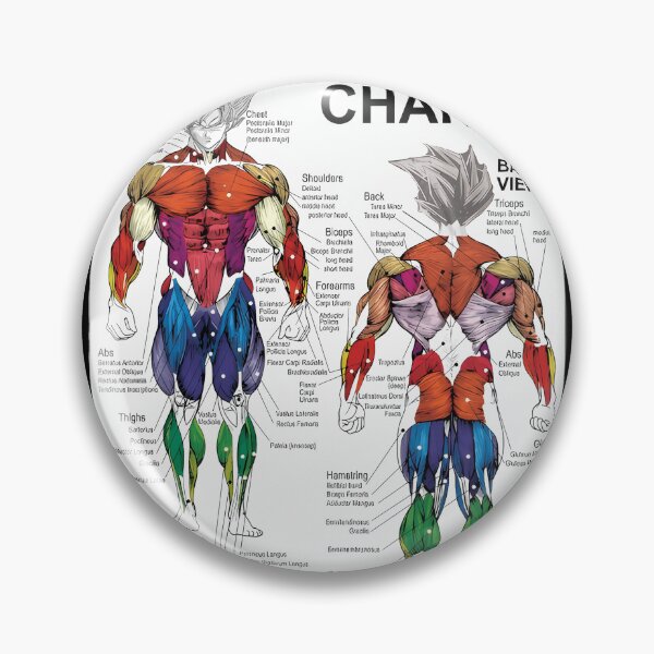 Item preview, Saiyan Anatomy Chart - Muscle Diagram - Anime Workout  .  	 designed and sold by gaelaedanesaa.