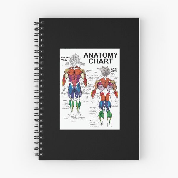 Item preview, Saiyan Anatomy Chart - Muscle Diagram - Anime Workout  .  	 designed and sold by gaelaedanesaa.