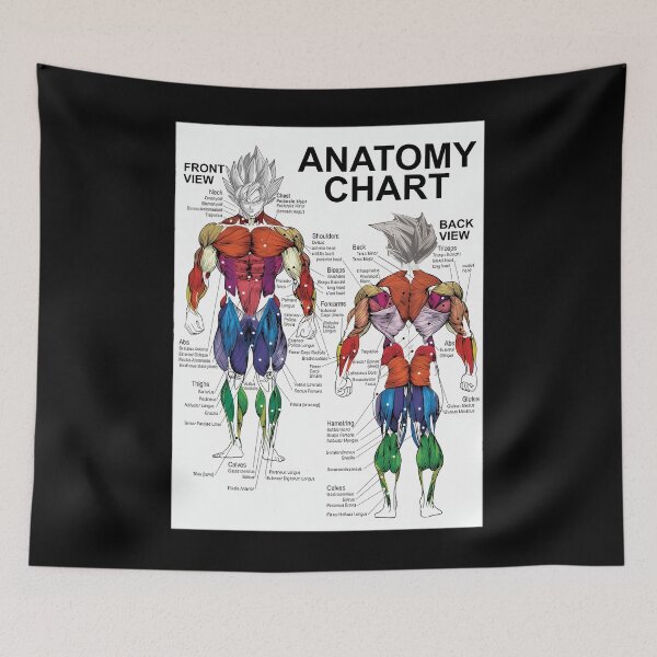Item preview, Saiyan Anatomy Chart - Muscle Diagram - Anime Workout  .  	 designed and sold by gaelaedanesaa.