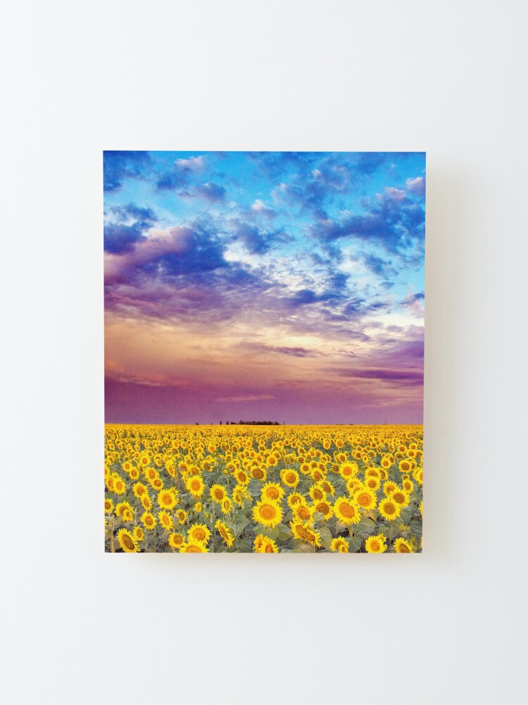 Thumbnail 2 of 6, Mounted Print, Plethora of Sunflowers 2023 designed and sold by Jerry Walter.