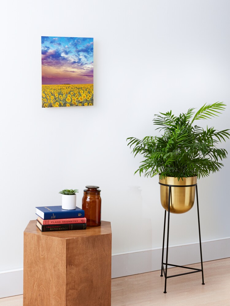 Thumbnail 1 of 6, Mounted Print, Plethora of Sunflowers 2023 designed and sold by Jerry Walter.