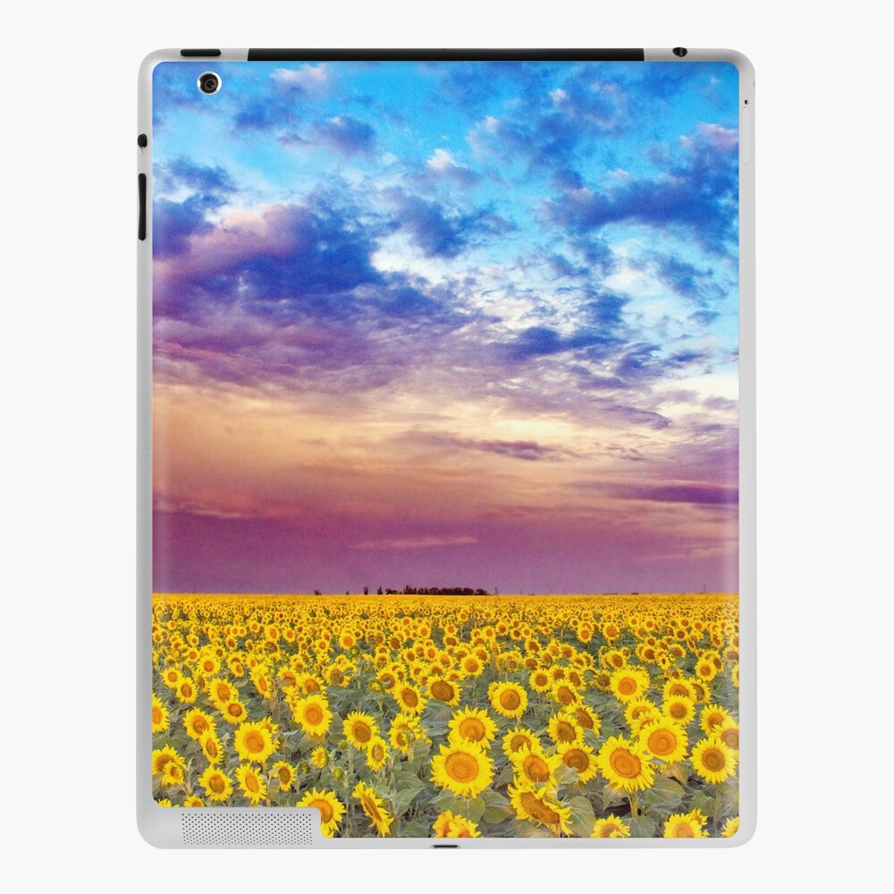 Item preview, iPad Skin designed and sold by jwwalter.