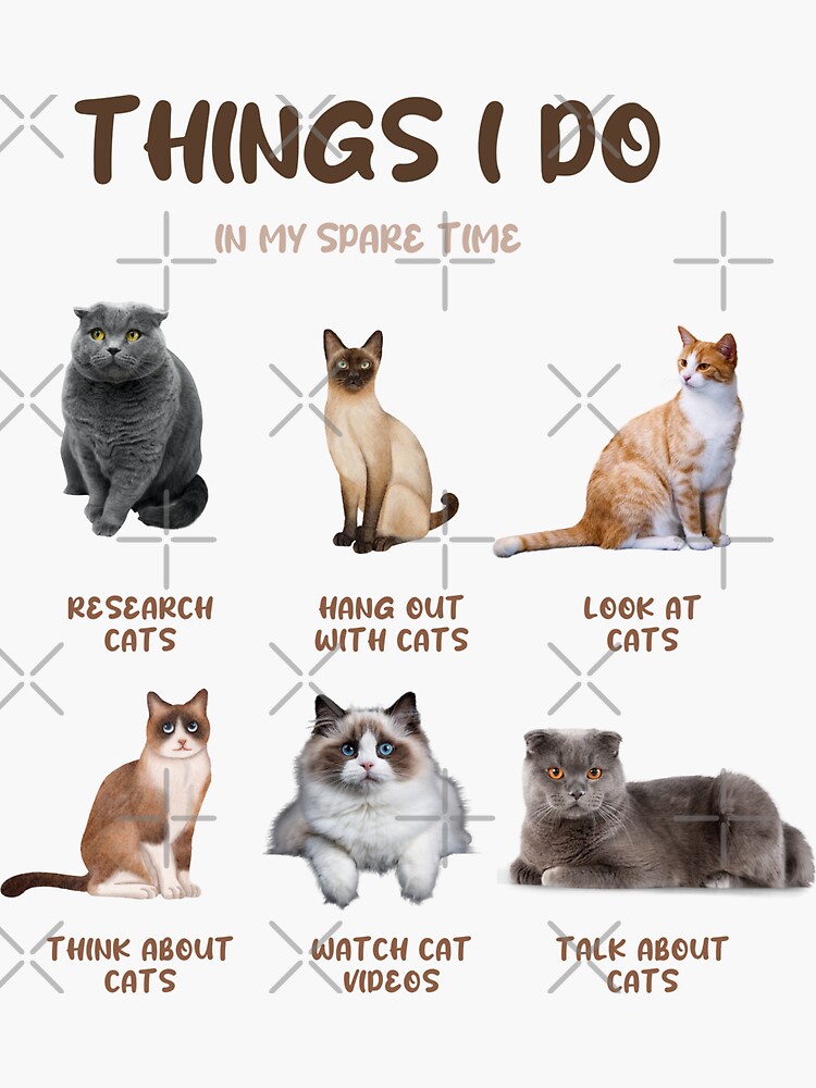 Things for hotsell cats to