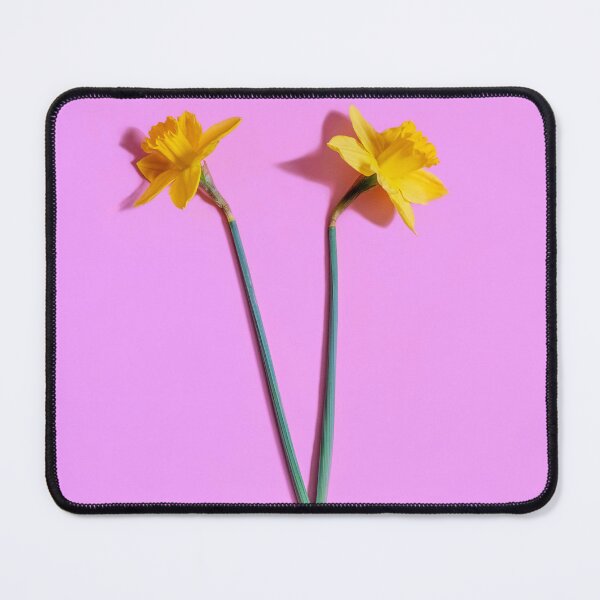 Item preview, Two Daffodils designed and sold by Sonja Martin Photography.