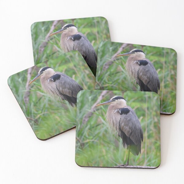 Item preview, Sleepy Great Blue Heron designed and sold by Jhammonds512.