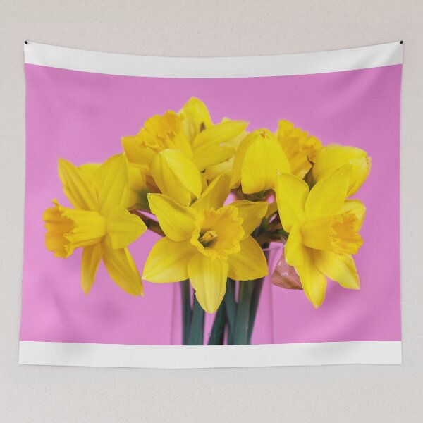 Item preview, Daffodil bouquet against a pink background designed and sold by Sonja Martin Photography.