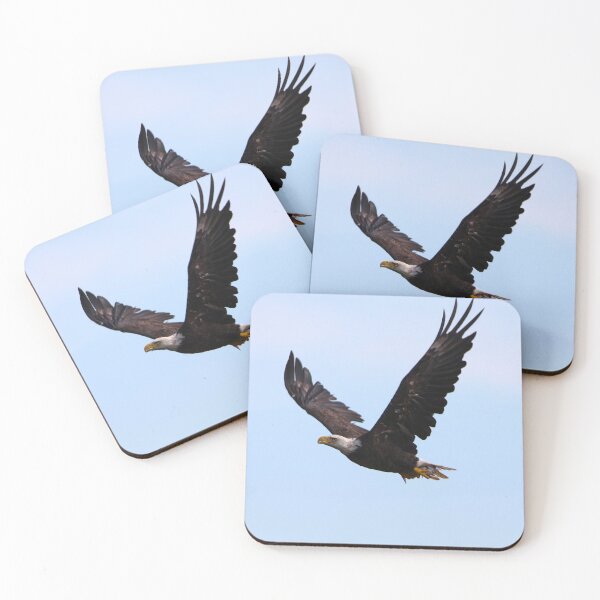 Item preview, Bald Eagle in Flight after catching a fish designed and sold by Jhammonds512.