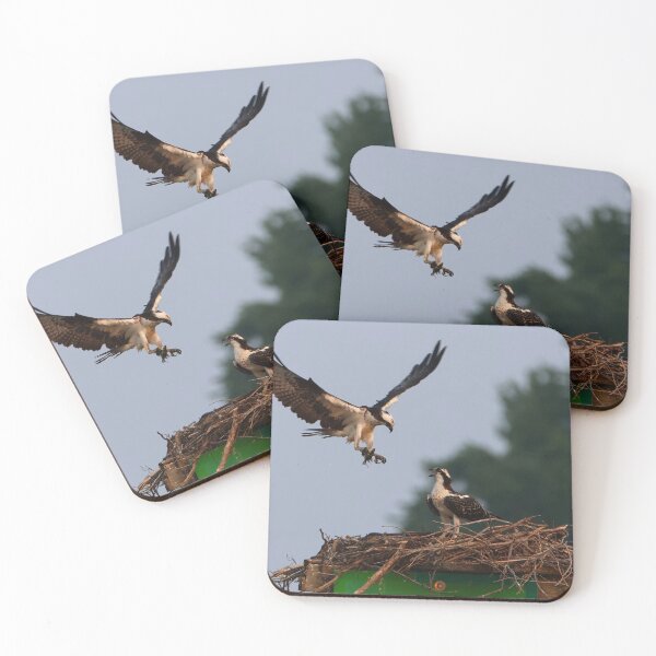 Item preview, Mama Osprey landing with dinner designed and sold by Jhammonds512.