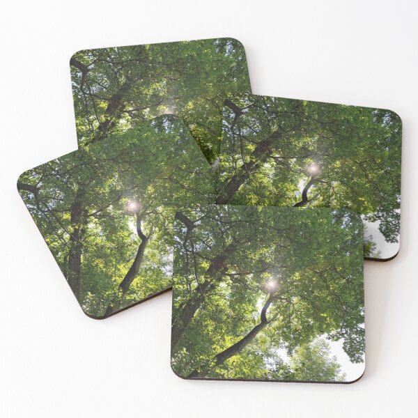 Item preview, Sun through green summer tree foliage  designed and sold by tshuki.