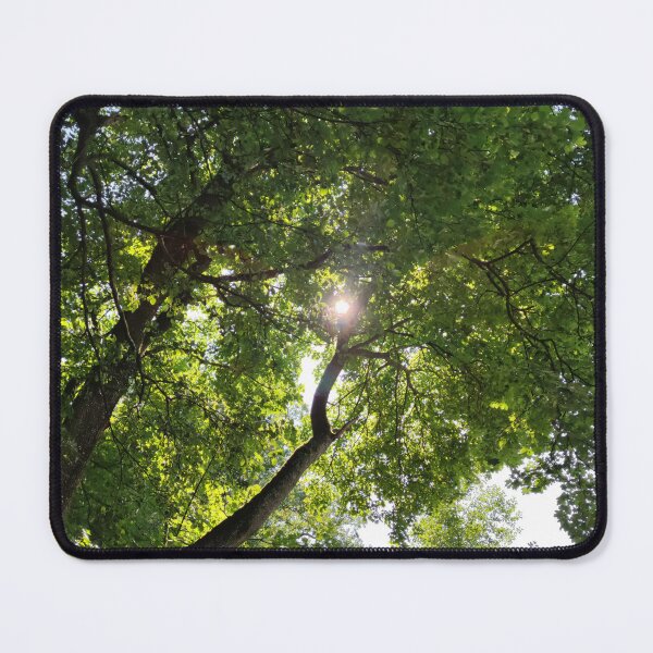 Item preview, Sun through green summer tree foliage  designed and sold by tshuki.