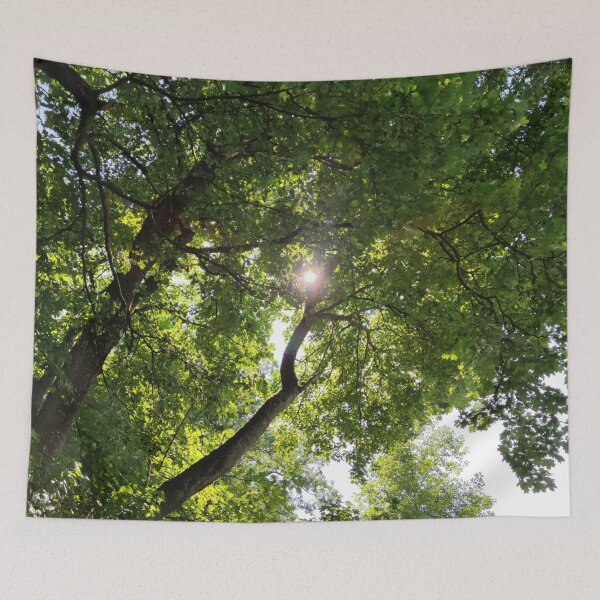 Item preview, Sun through green summer tree foliage  designed and sold by tshuki.