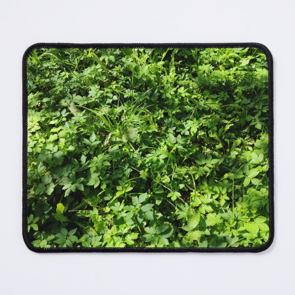 Item preview, Green summer grass and plant patch in a shady spot designed and sold by tshuki.