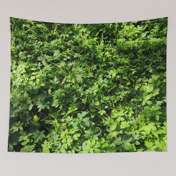 Item preview, Green summer grass and plant patch in a shady spot designed and sold by tshuki.