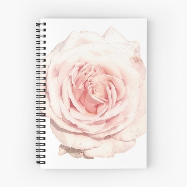 Item preview, Rosa chinensis Jacq. designed and sold by flowervibes101.