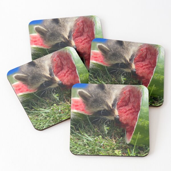 Item preview, Raccoon eating watermelon  designed and sold by SurfeitShop.