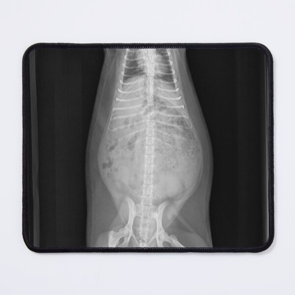 Item preview, Skunk xray designed and sold by SurfeitShop.