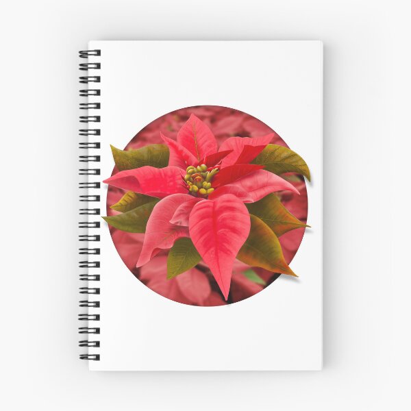 Item preview, Poinsettia Flower designed and sold by DesertG.