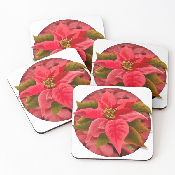 Item preview, Poinsettia Flower designed and sold by DesertG.