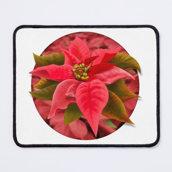 Item preview, Poinsettia Flower designed and sold by DesertG.