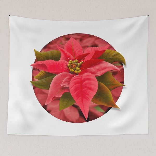 Item preview, Poinsettia Flower designed and sold by DesertG.