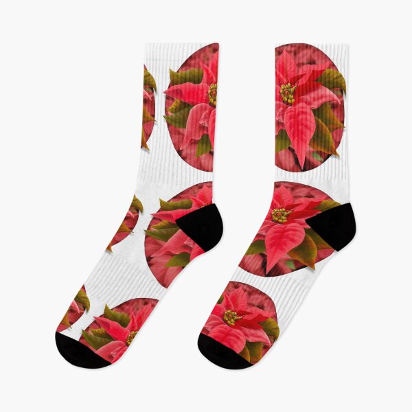 Item preview, Poinsettia Flower designed and sold by DesertG.