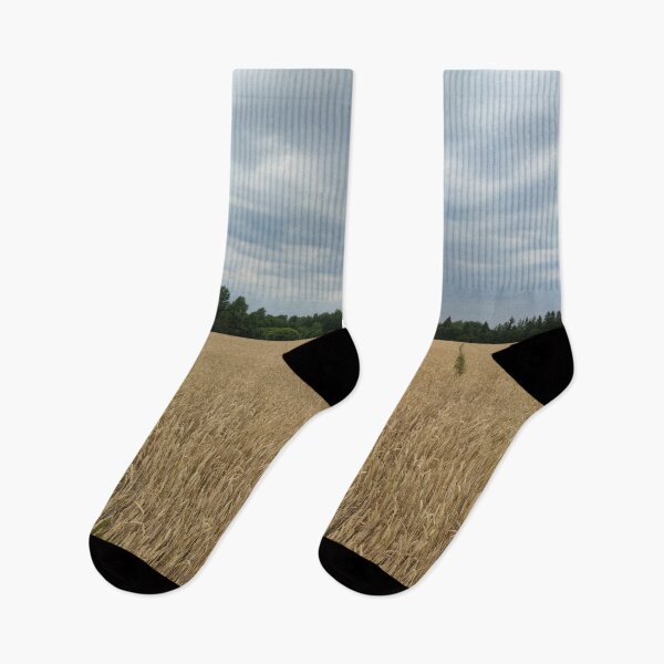 Item preview, Wheat field at the countryside designed and sold by tshuki.