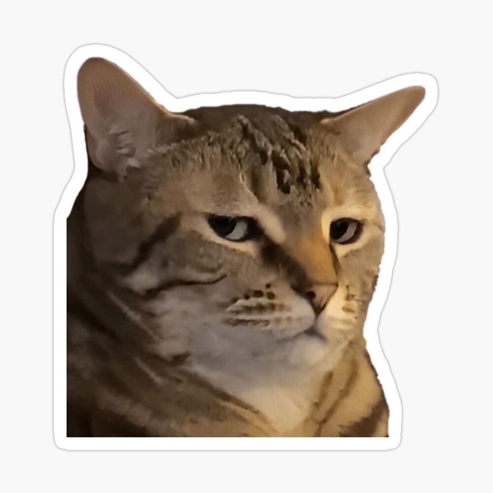 Angry Cat Gif Stickers for Sale