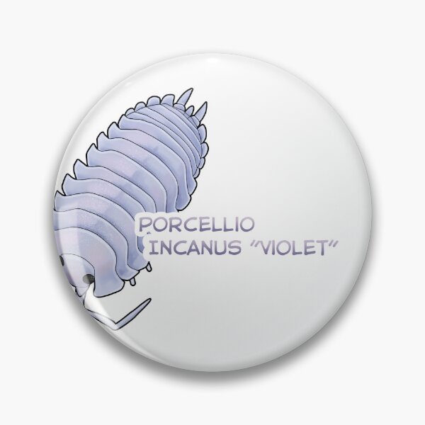 Item preview, Porcellio Incanus "Violet" name tag designed and sold by Pods-n-Pugs.