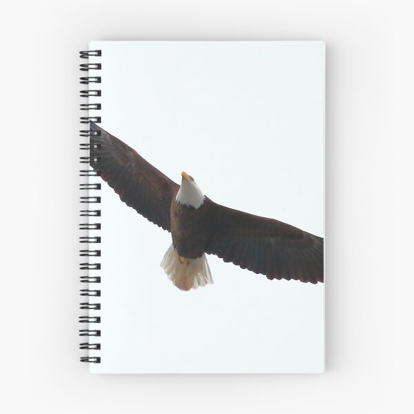 Item preview, Bald Eagle  designed and sold by Adam Kuehl.