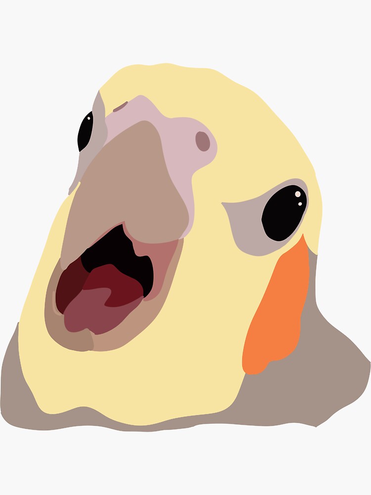 Angry cockatiel 2024