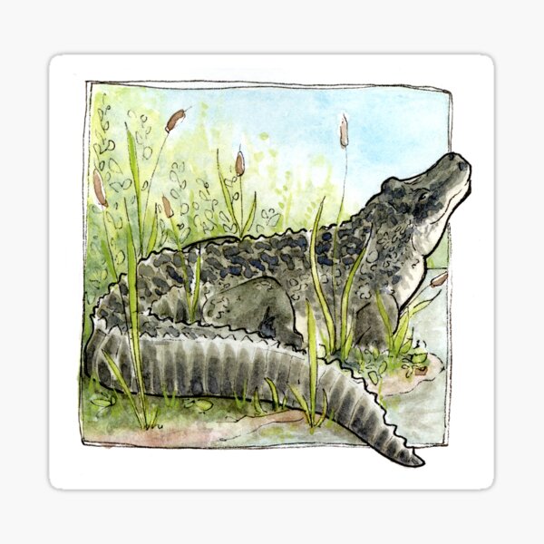 Artikel-Vorschau von Aquarell-Aligator, designt und verkauft von exploration-EC.