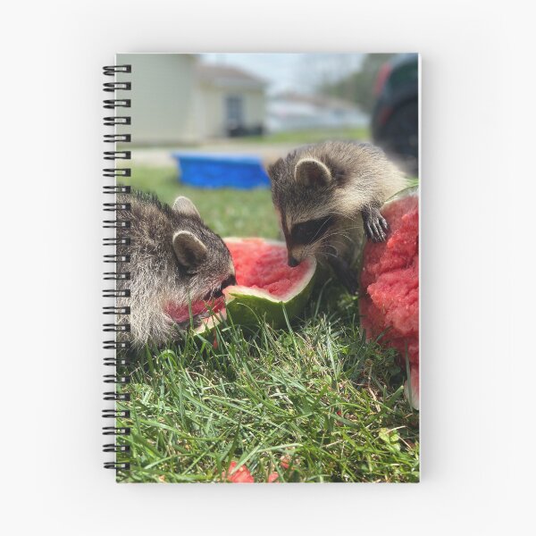 Item preview, Raccoons eating watermelon  designed and sold by SurfeitShop.