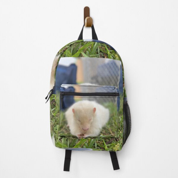 Item preview, Albino skunk designed and sold by SurfeitShop.