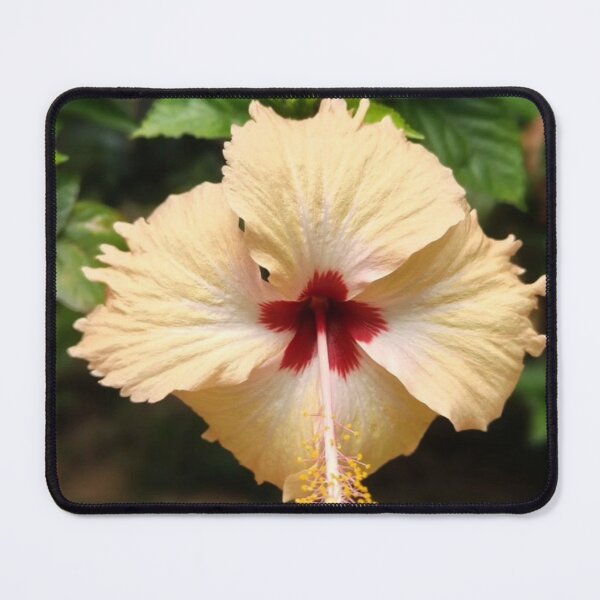 Item preview, Hibiscus designed and sold by Sangeeta Art Co..
