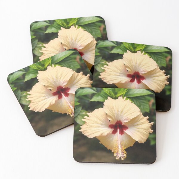 Item preview, Hibiscus designed and sold by kifayat22.