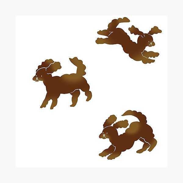 Item preview, Brown Doodles Dog Brindle Brown Colourway Poodle Cross Labradoodle  designed and sold by Matildailda.