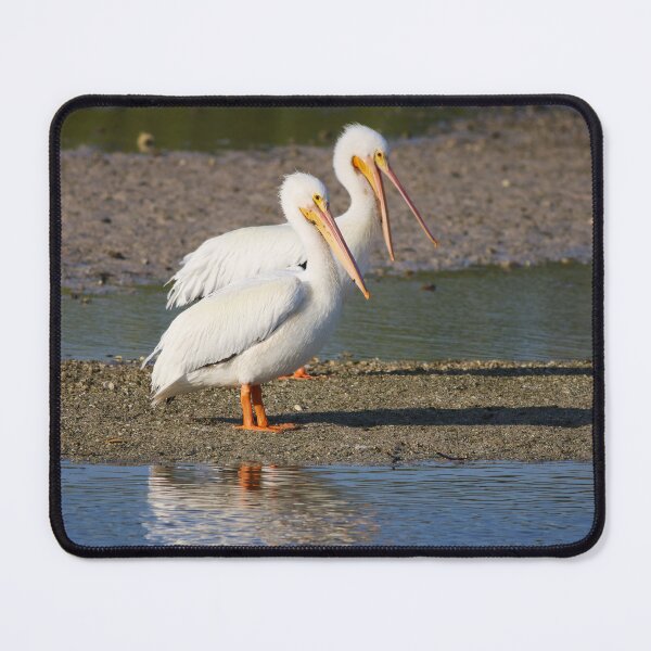 Item preview, A Compelling Saga designed and sold by Michiale.