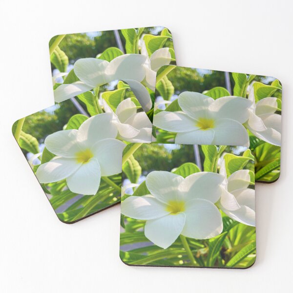 Item preview, Plumeria Alba designed and sold by kifayat22.