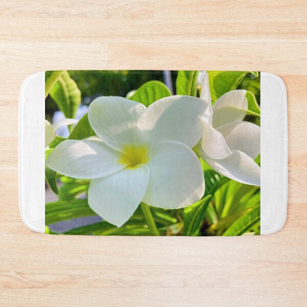 Item preview, Plumeria Alba designed and sold by kifayat22.
