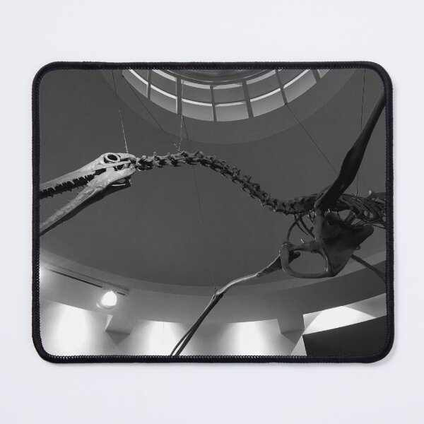 Item preview, AAKKK! Danger from the Sky! designed and sold by Frank Parisi.