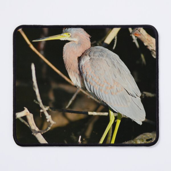 Item preview, Focusing on Life's Balance  designed and sold by Michiale.