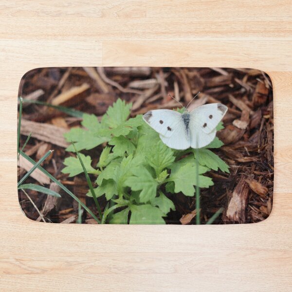 Item preview, Pretty Little White Butterfly designed and sold by LisaNaturePhoto.