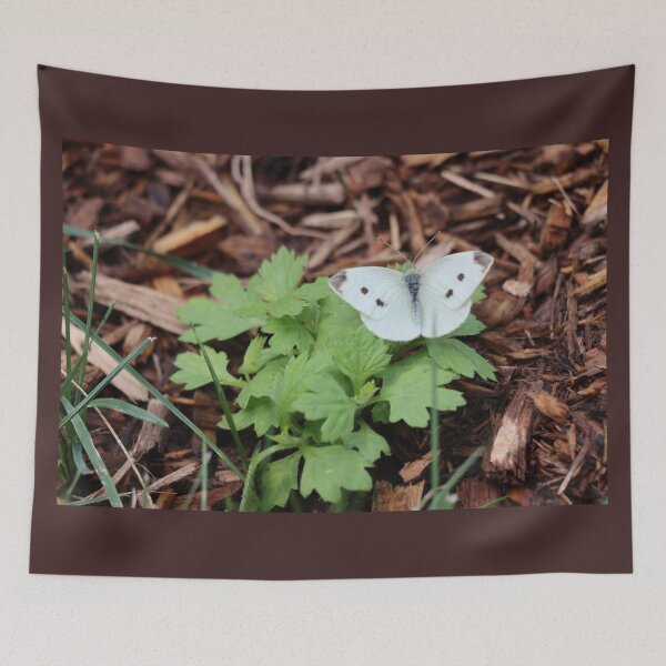 Item preview, Pretty Little White Butterfly designed and sold by LisaNaturePhoto.