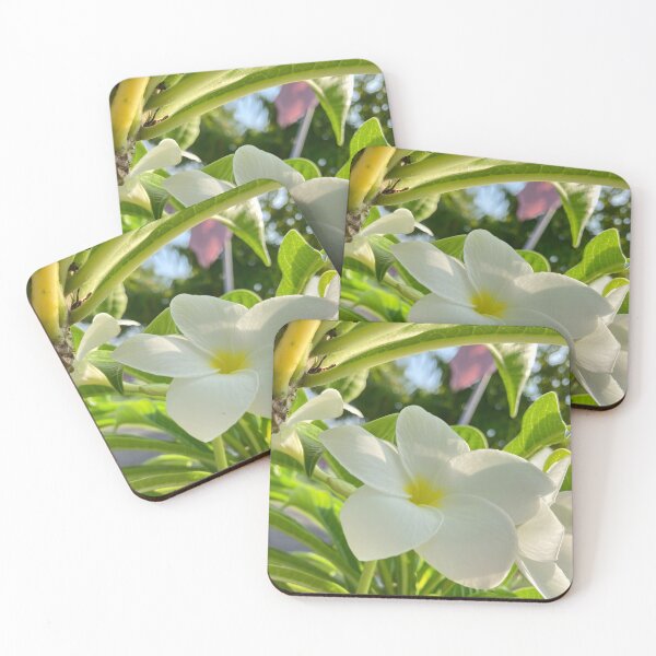 Item preview, Copy of Plumeria Alba designed and sold by kifayat22.