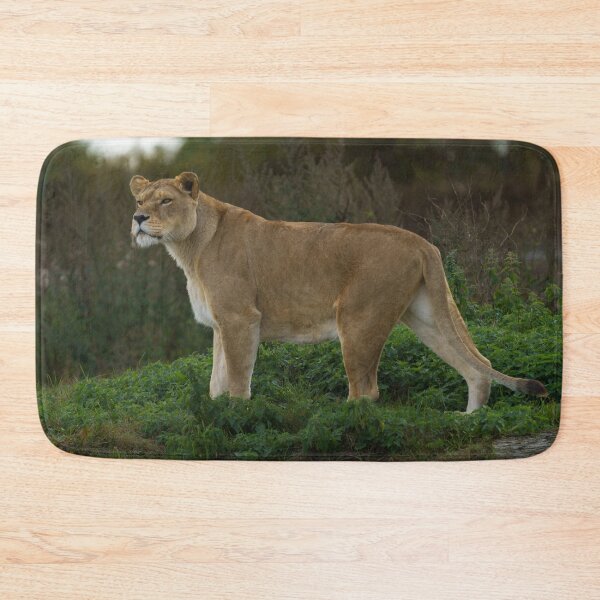Item preview, Vigilant Lioness Amidst Verdant Nettles designed and sold by rawshutterbug.