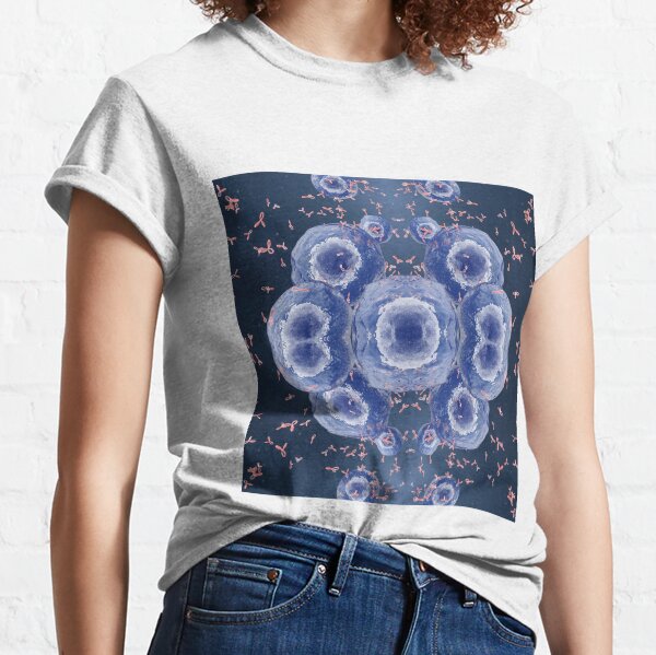 Scientific Visualization Classic T-Shirt
