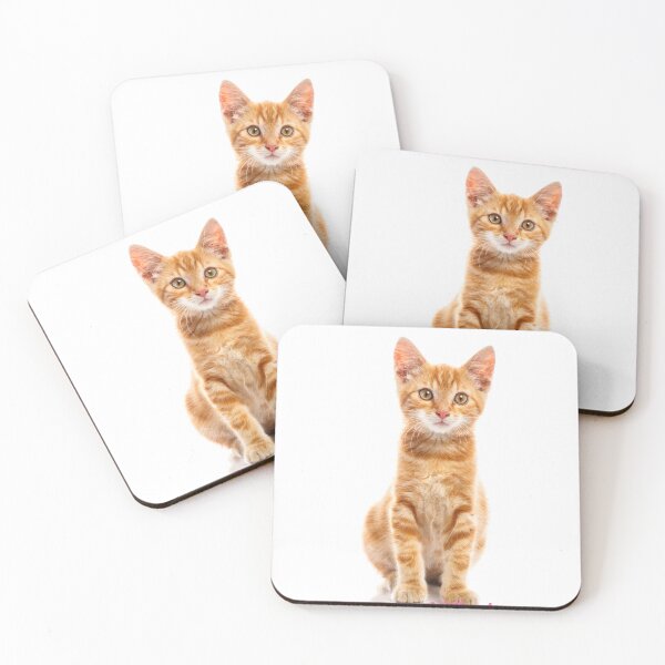 Item preview, cat chat kitten pet stickers art designers,t shirts,digital art,graphic tees,t shirt roblox, t shirt printing,white t shirt,cat kitten pet meow designed and sold by Redkaone.